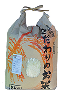 ���R�Ĕ���10kg